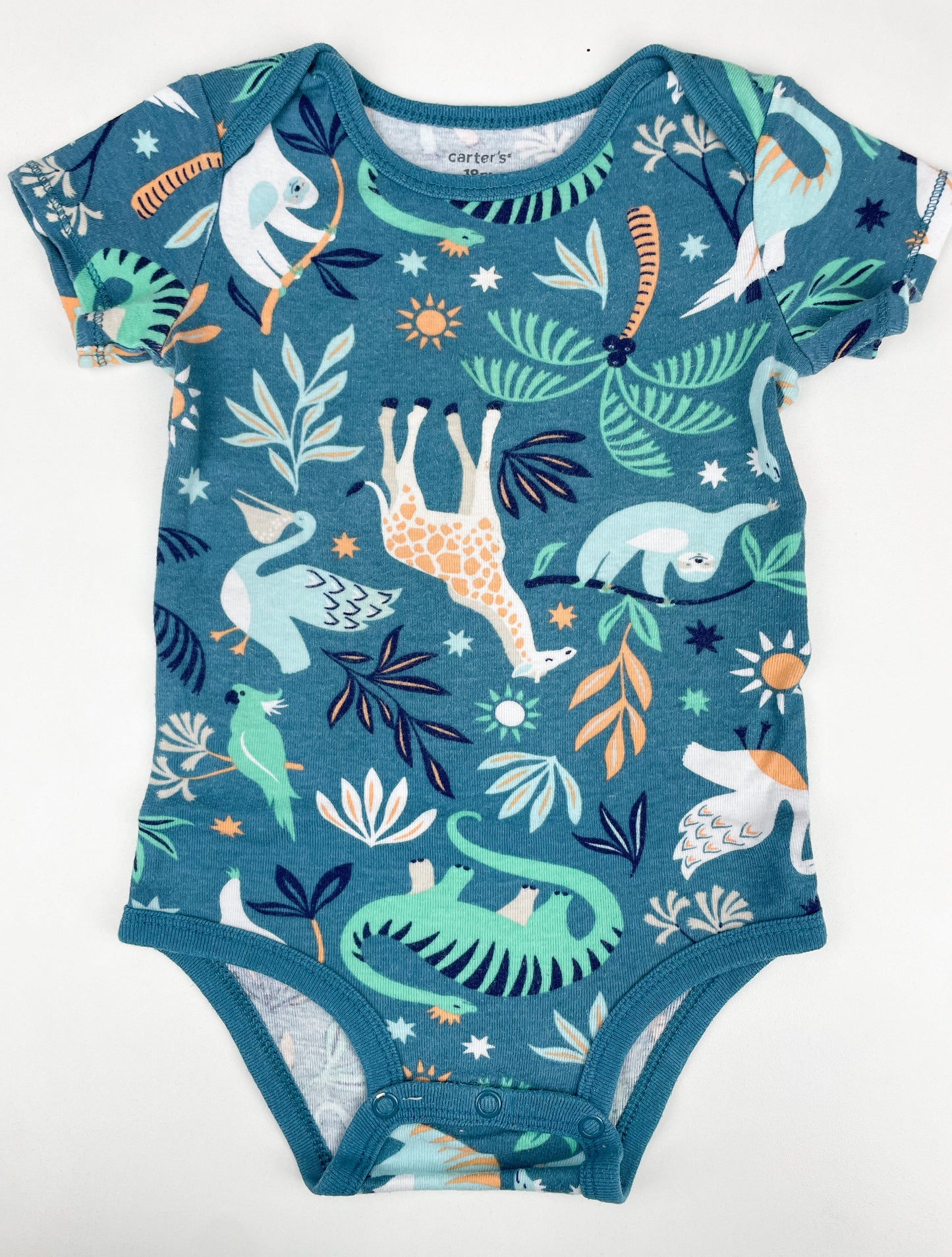 Body Carters