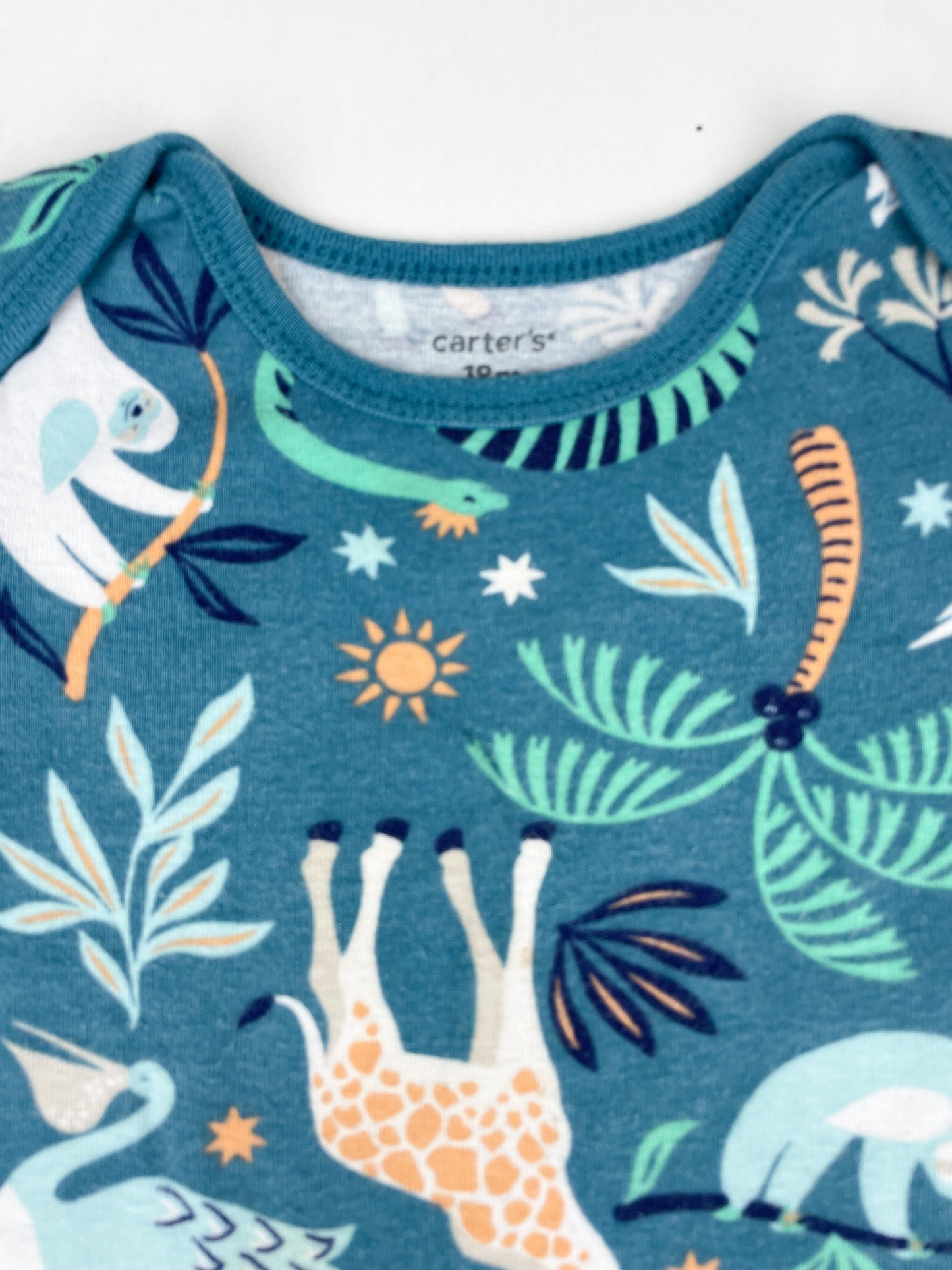 Body Carters