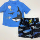 Conjunto Praia Carters (NOVO)