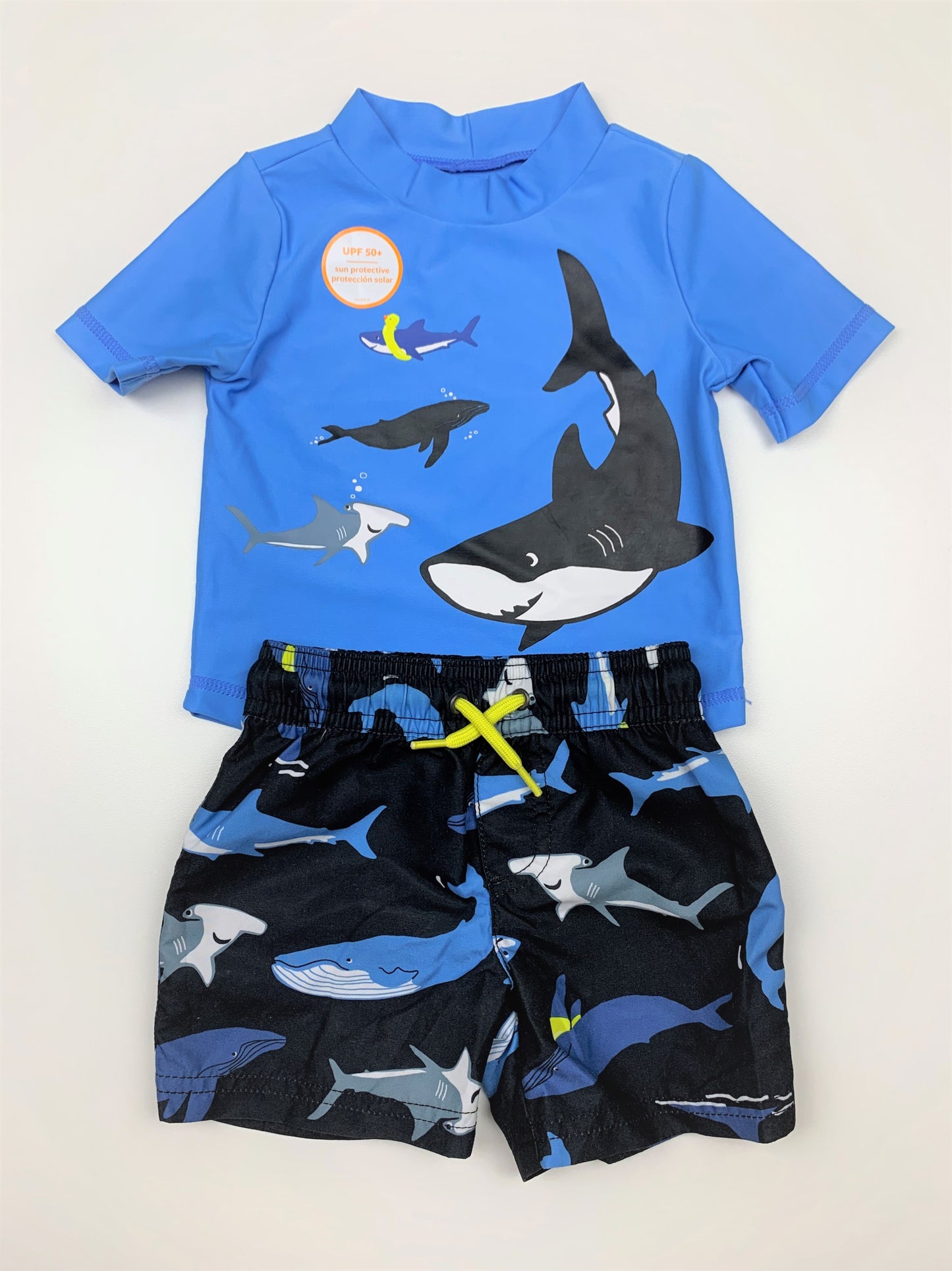 Conjunto Praia Carters (NOVO)